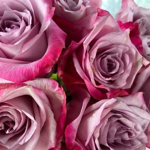 Meet your Posher, Laurene